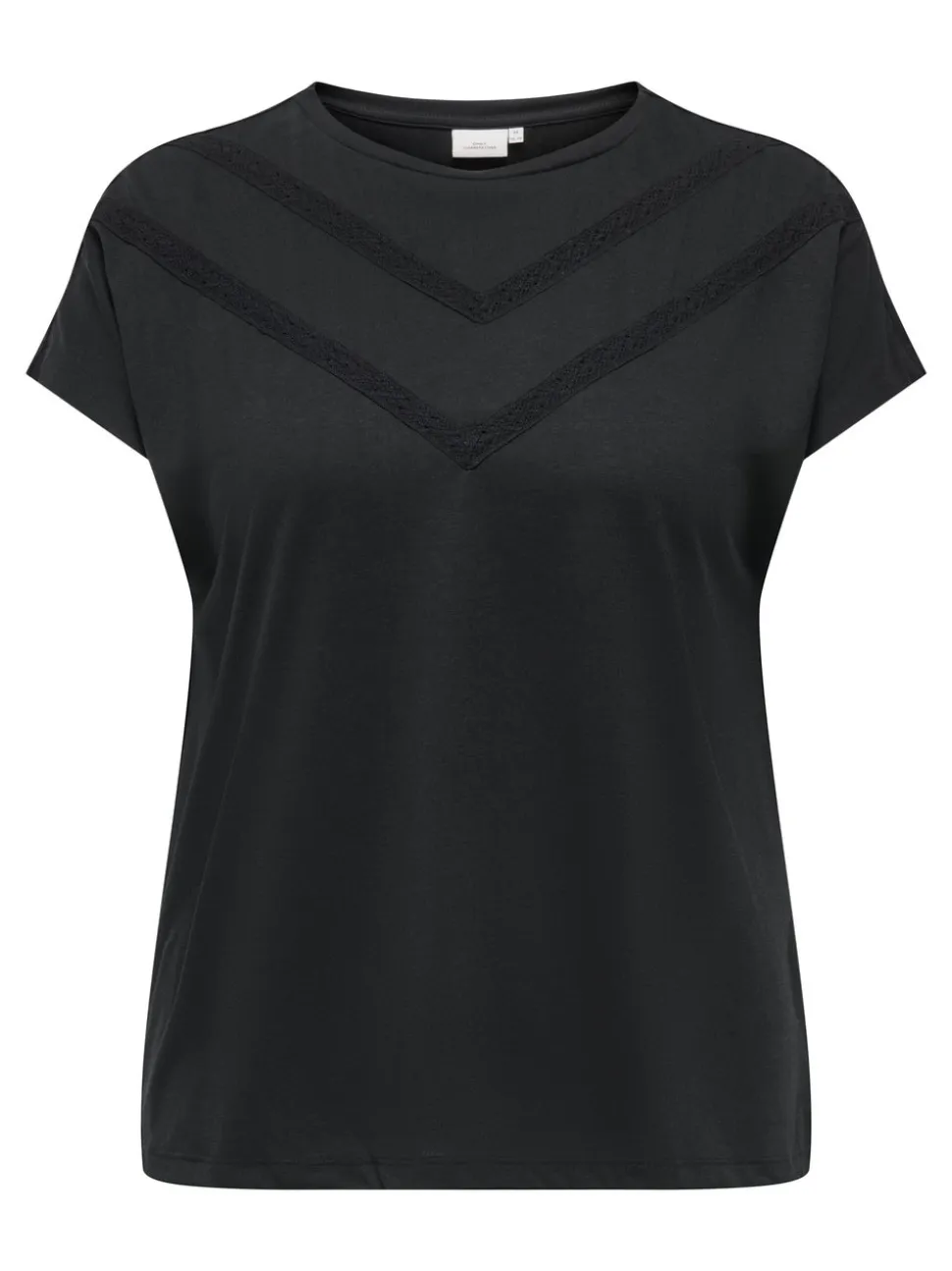 CARCORAL T-shirt