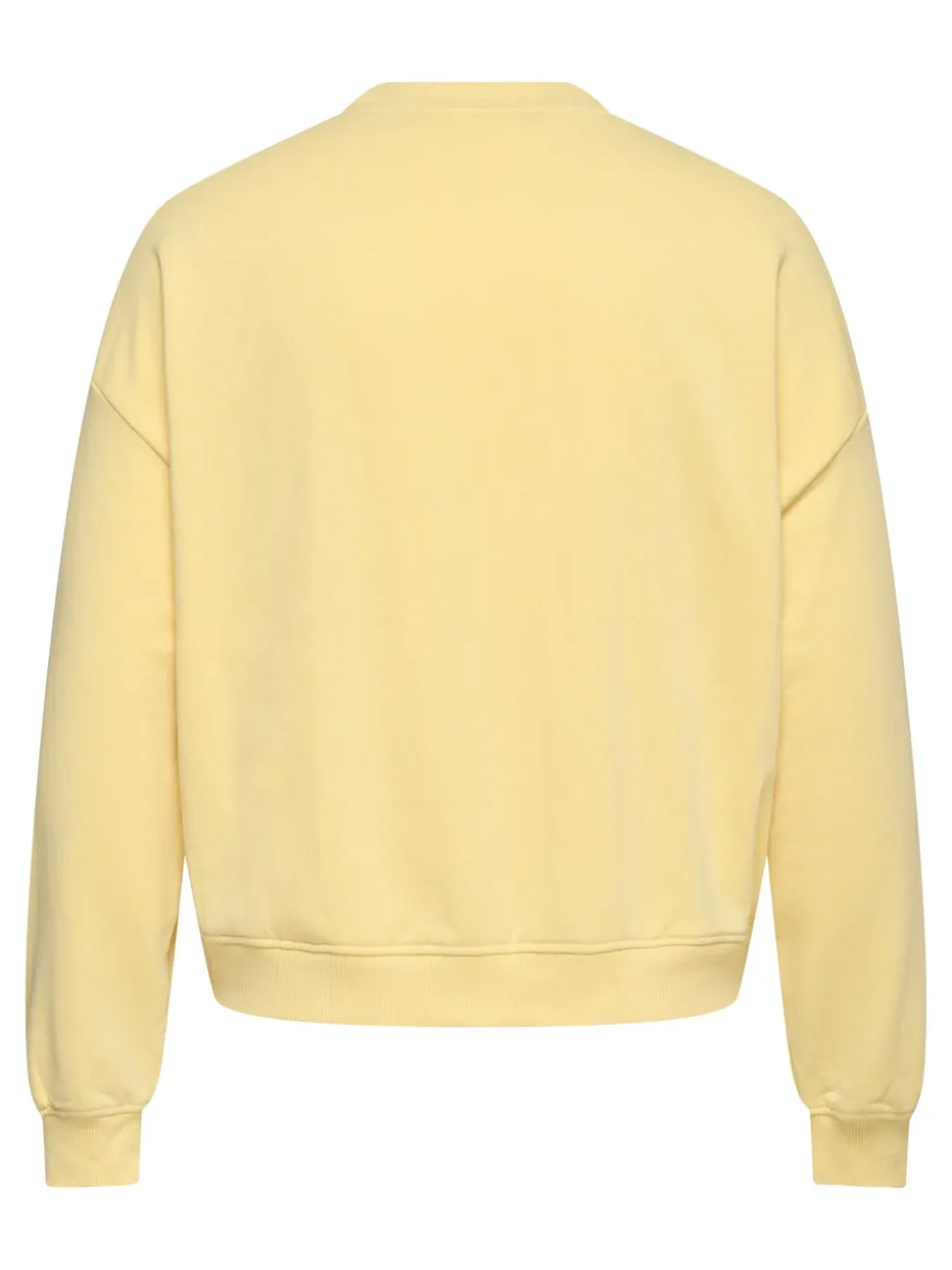 CARSANDY Bluza